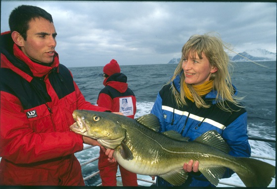 Pescado con un bacalao de temporada ( skrei) , capturado en el Ártico, junto a la isla de Senja en el norte de Noruega Isidoro Merino