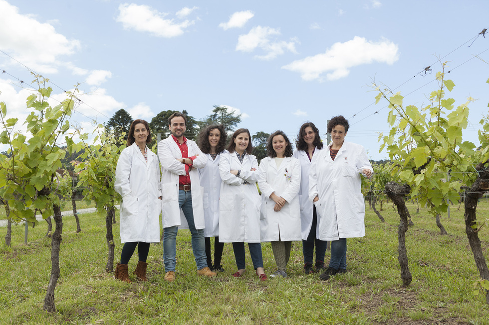 En la Misión Biológica de Galicia, Martínez y su equipo realizan estudios de resistencia a enfermedades.